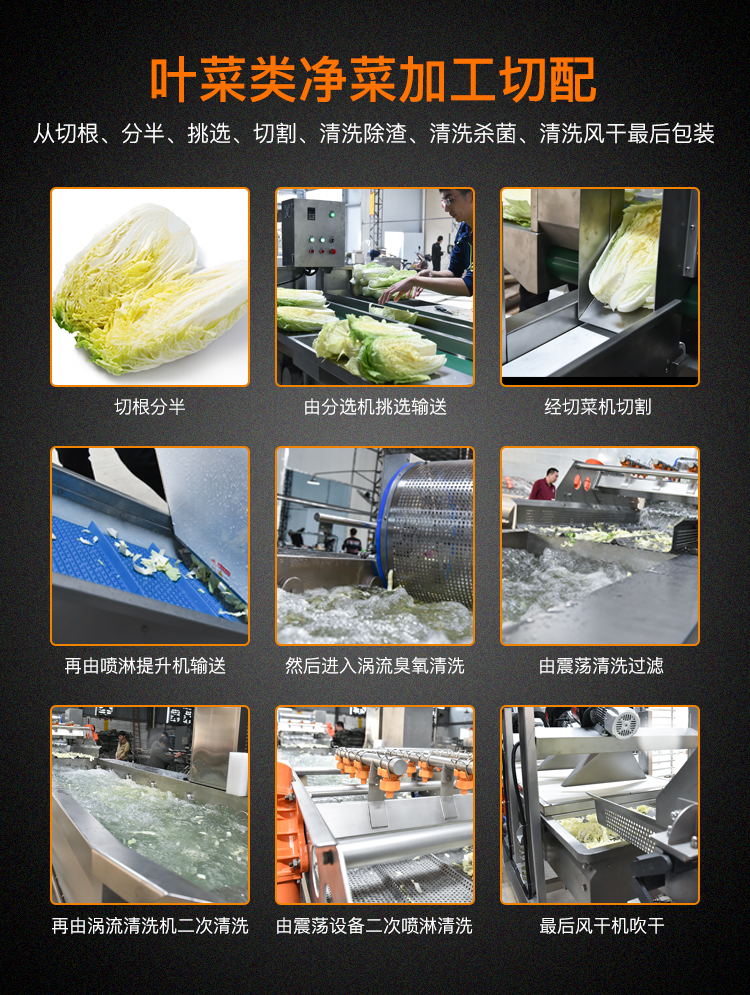 中央廚房果蔬加工流水線設備葉菜加工清洗整套機器(圖8)